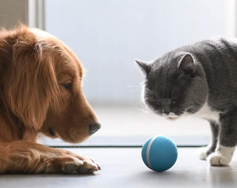 Pet Ball