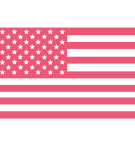 USA Flag Logo